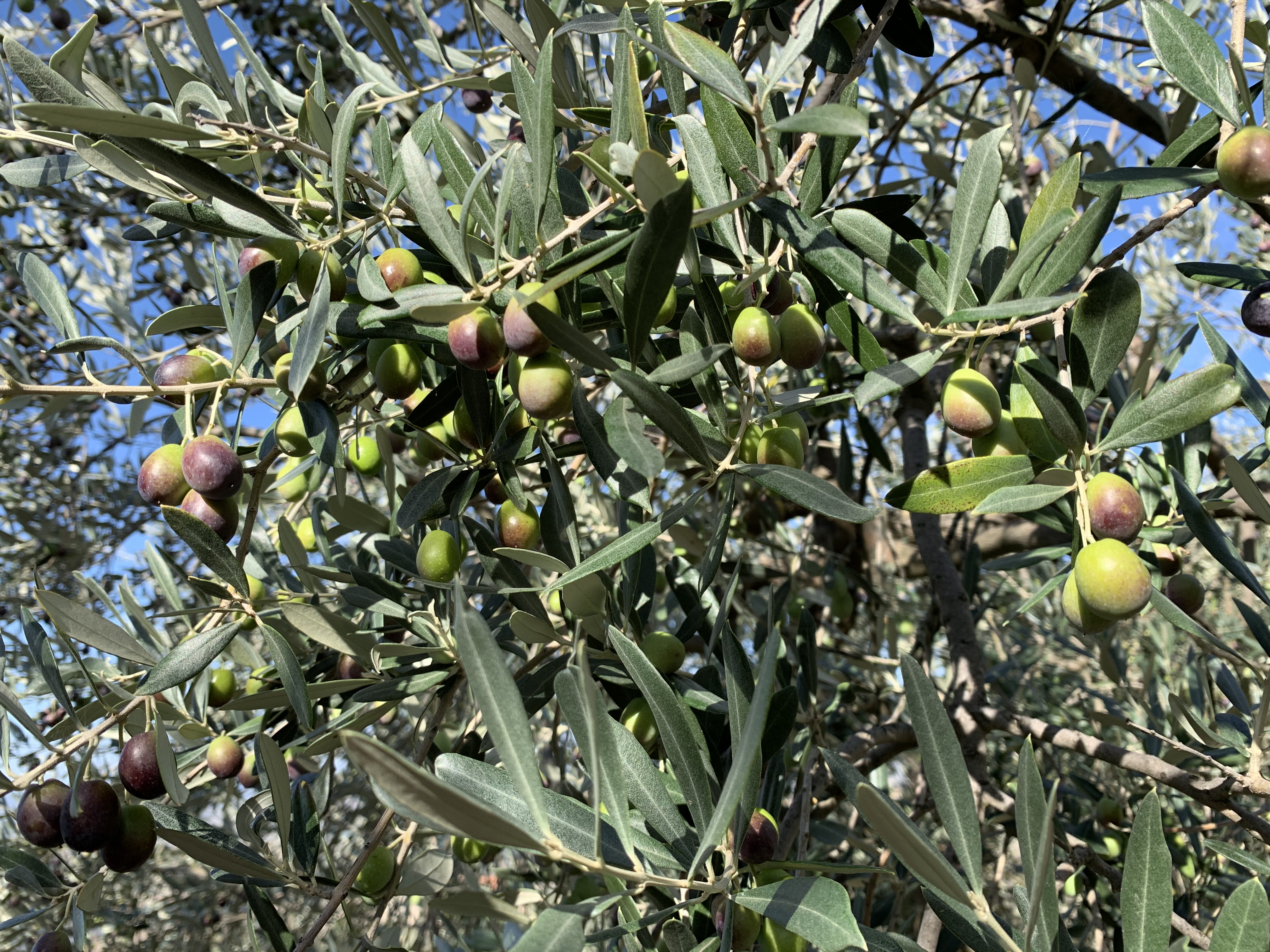 bd1b9c9cce84c5aeccfd197770ac1dbc